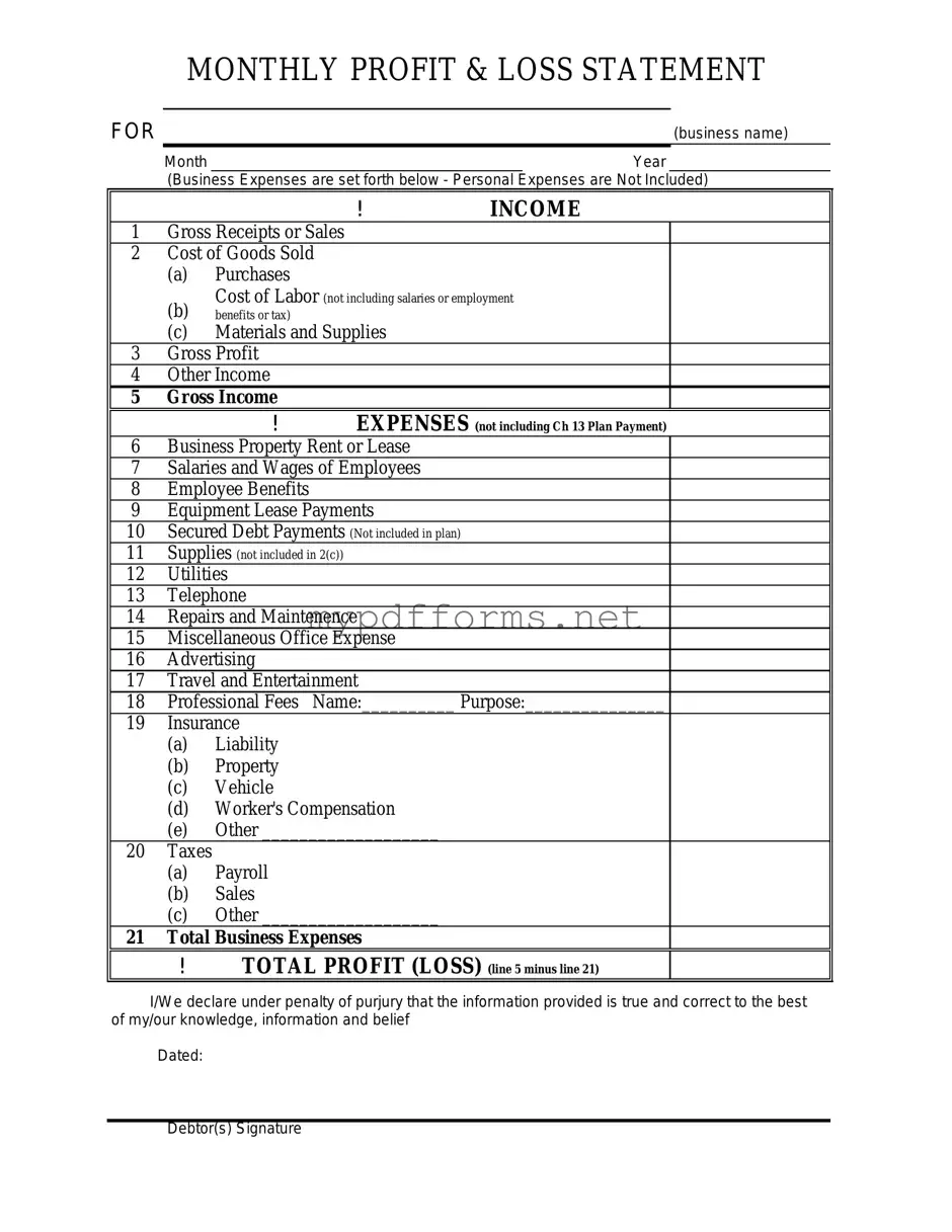 Get Profit And Loss Form in PDF
