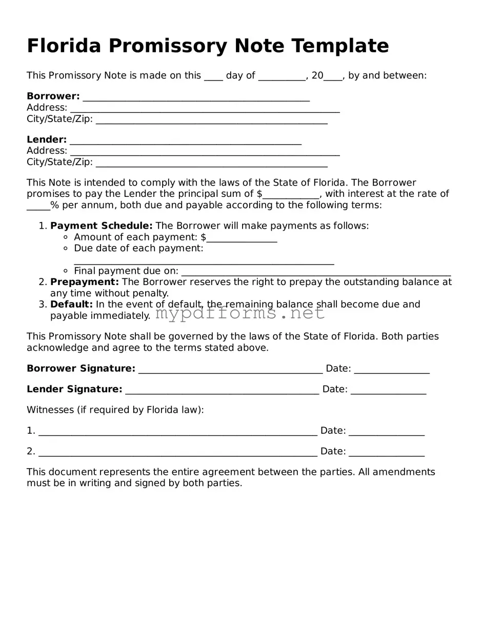 Attorney-Verified  Promissory Note Document for Florida