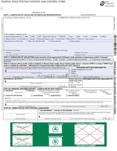 Get Drug Screen Form in PDF