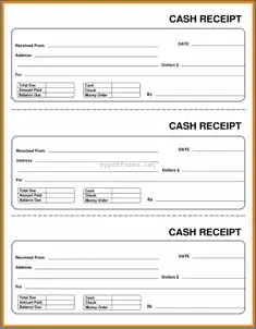 Get Cash Receipt Form in PDF