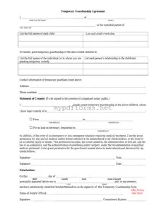 Get Temporary Custody Form in PDF