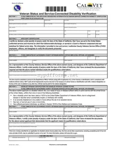 Get Vsd 001 Form in PDF