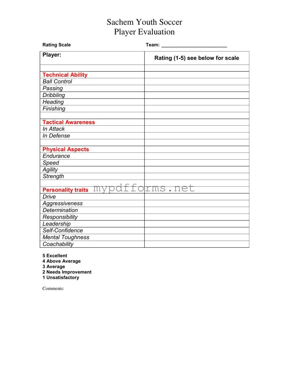 Get Soccer Player Evaluation Form in PDF